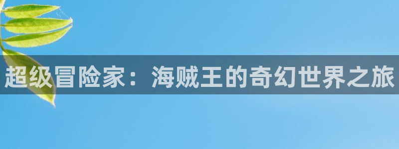 动漫网站免费大全:超级冒险家:海贼王的奇幻世界之旅